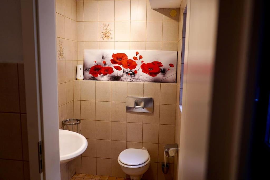 Helle Kellerwohnung Im Gruenen Mit Sauna 科隆 外观 照片